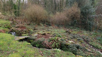 Cottage | Property grounds