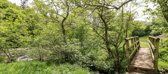Meadows Edge