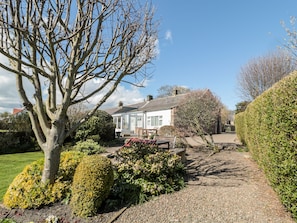Stroll through the serene garden, featuring a mature tree and a variety of shrubs, to the charming house with a traditional chimney.