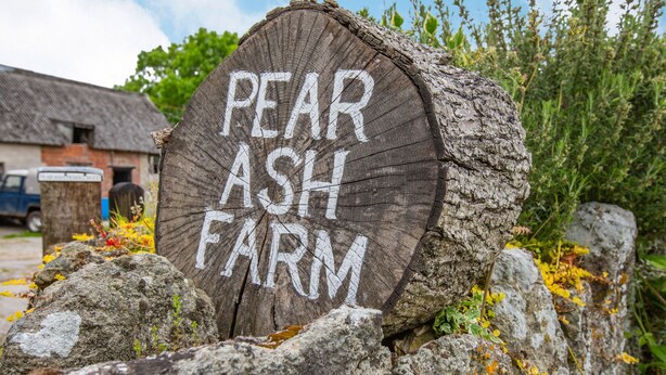Un cartello di legno con la scritta 'PEAR ASH FARM', circondato da rocce e piante.
