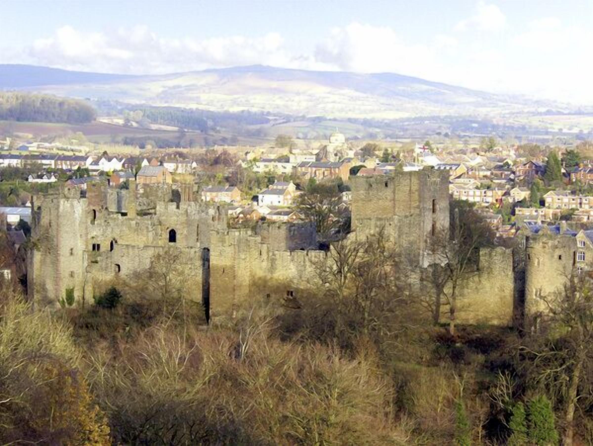 Un château historique, entouré d’une ville avec ses maisons, et dominé par un paysage montagneux.