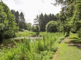 Cottage | Nội thất