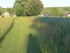Stroll through the serene countryside along a well-maintained path surrounded by wildflowers and traditional homes.