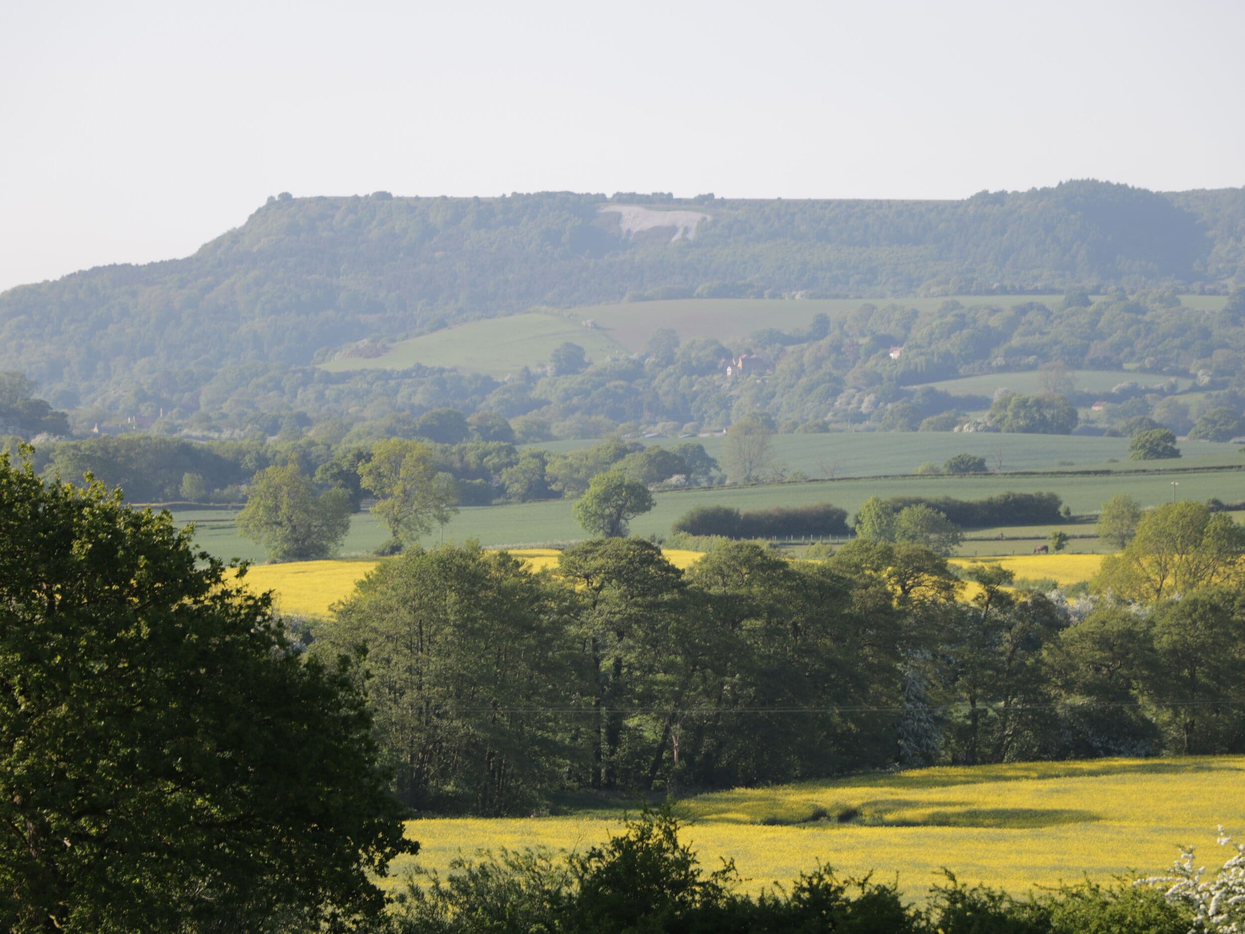 A rural landscape with rolling hills, fields, and scattered trees.