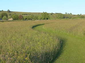 Cottage | Golf