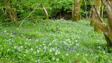 Cottage | Nội thất
