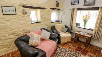 Mökki | Olohuone | Televisio