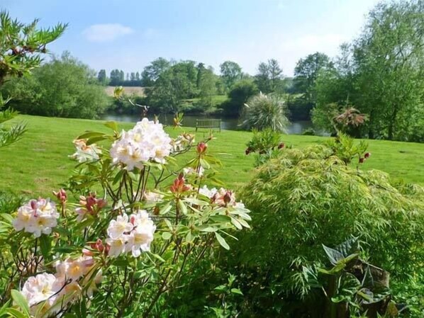 Ein Garten mit blühenden Pflanzen und einem Teich.