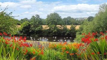 Casa de campo | Interior