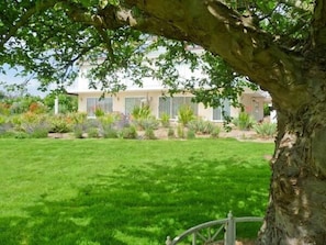 A house with a well-maintained lawn and a variety of plants in the garden. - Herons (Hereford)