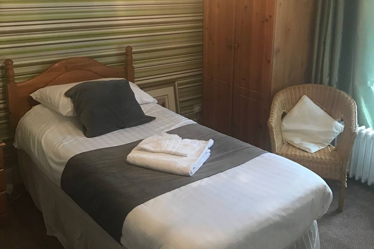 Single Room, 1 Twin Bed, Non Smoking | Egyptian cotton sheets, premium bedding, free WiFi, bed sheets