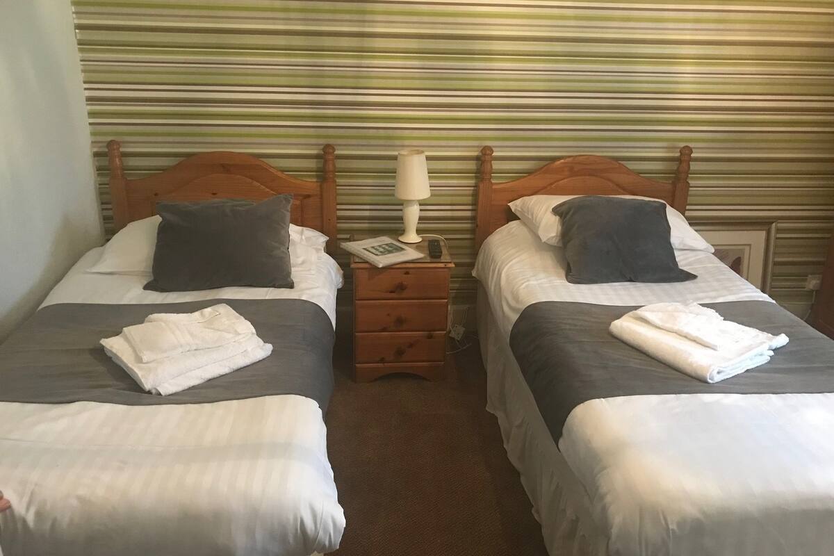 Twin Room, 2 Twin Beds, Non Smoking | Egyptian cotton sheets, premium bedding, free WiFi, bed sheets