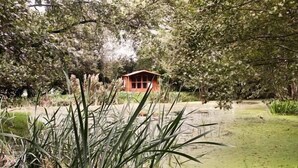 Eine kleine Holzhütte, umgeben von dichtem Grün und einem Teich.