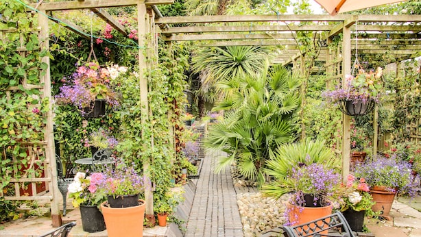 A garden patio with a pergola, potted plants, and outdoor seating.