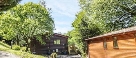 A rustic cabin with a gravel driveway, surrounded by lush greenery and trees.