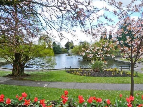 Interior - Baytree Apartment (Grange-over-Sands)