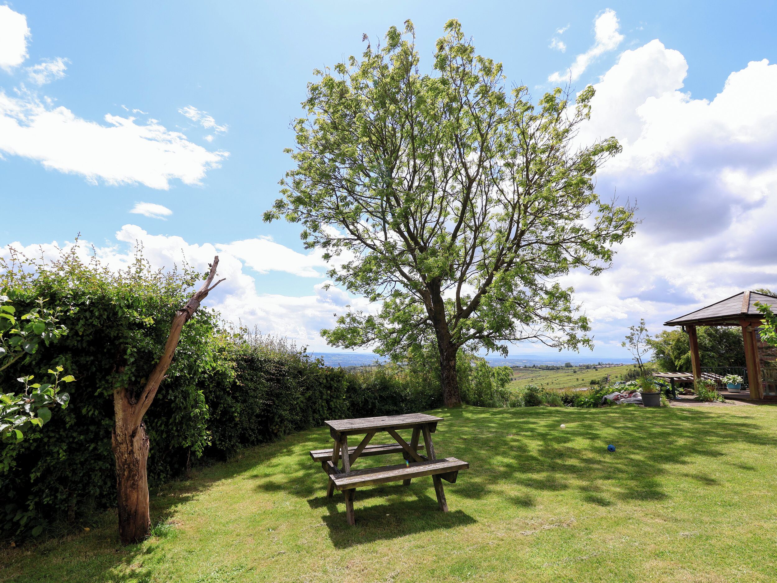 A picnic table in a grassy area with a large tree and a view of the countryside.