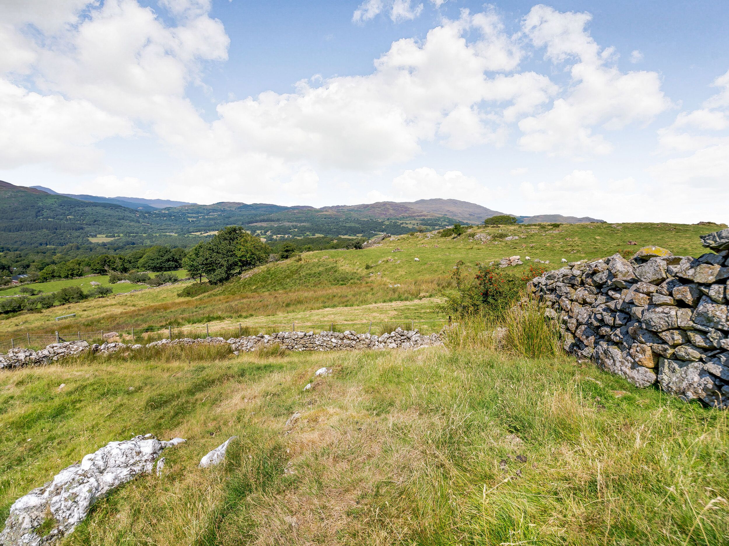 A rural landscape with a stone wall, grassy fields, and distant hills.