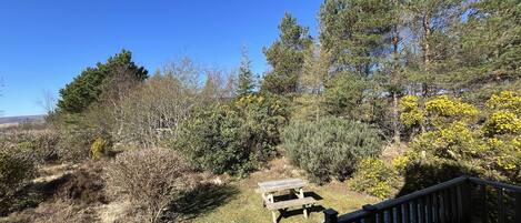 Una terraza de madera con una mesa de picnic y vistas a un jardín ajardinado con arbustos y árboles diversos.