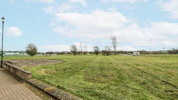 A grassy field with a brick pathway and a lamp post.