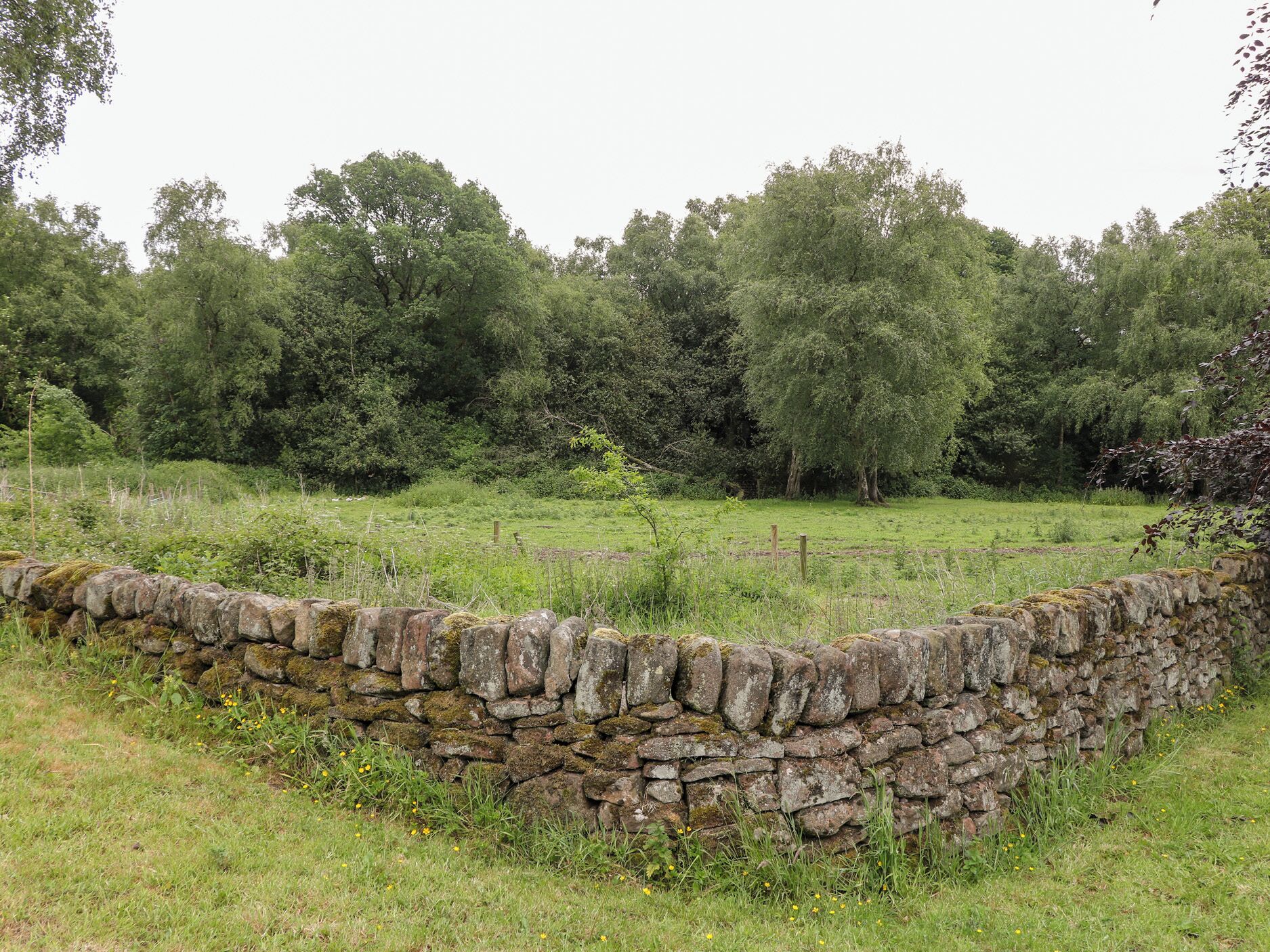 A stone wall in a rural setting with a grassy field and trees in the background.