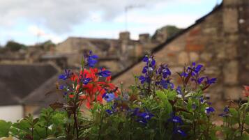 Un jardín con flores azules y rojas frente a un edificio de piedra.