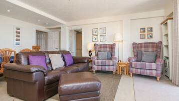 Mökki | Oleskelualue | Televisio