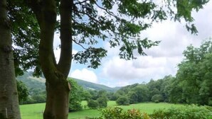 A rural landscape with a wooden fence, lush greenery, and a hill in the background. - Crud-y-barcud (Llanwrda)