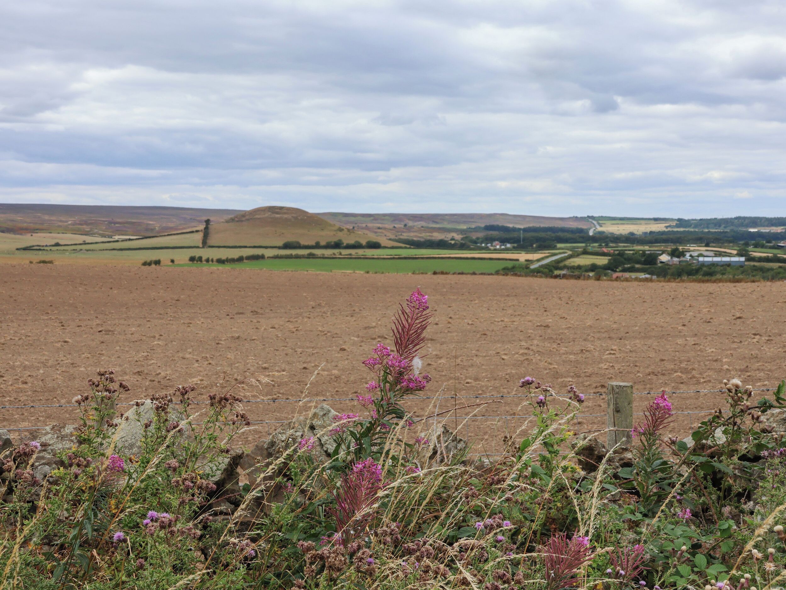 A rural landscape with a field, a hill, and a distant structure.