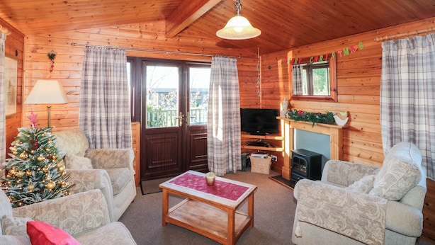 A cozy cabin interior with wooden walls, a fireplace, a television, and a Christmas tree. - Hawthorne Lodge (Saltburn-by-the-Sea)