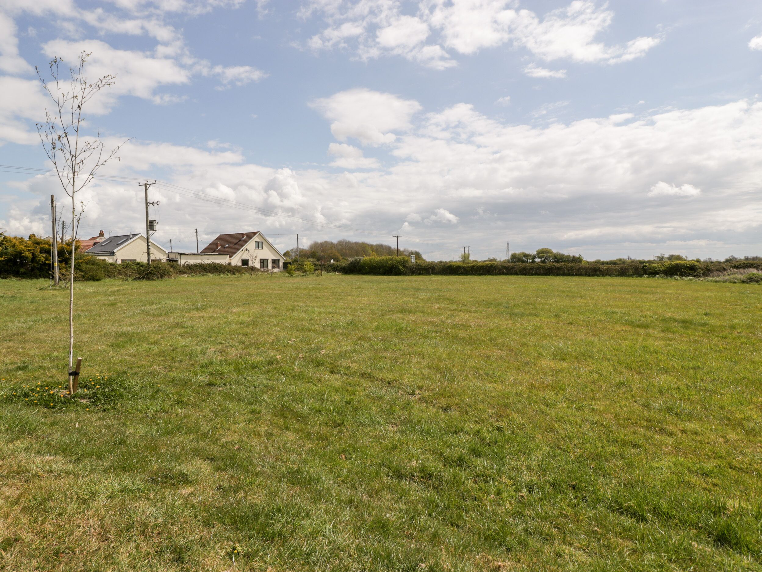 A grassy field with a house in the background.