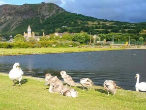 Cottage | Property grounds - Sea View Apartment (Llanfairfechan)