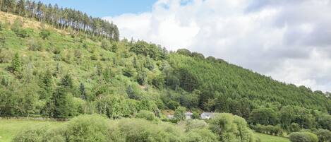 Un paysage verdoyant et luxuriant, avec une colline, des arbres et quelques maisons en arrière-plan.