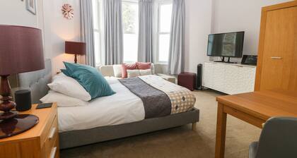 Y Castell Apartment 1