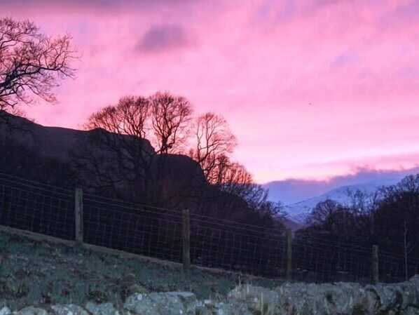 A fenced area with a rocky hillside and trees. - Townhead Farmhouse (Penrith)