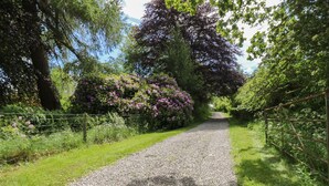 Un chemin de gravier bordé d’une végétation luxuriante et de buissons en fleurs, qui traverse une zone boisée.