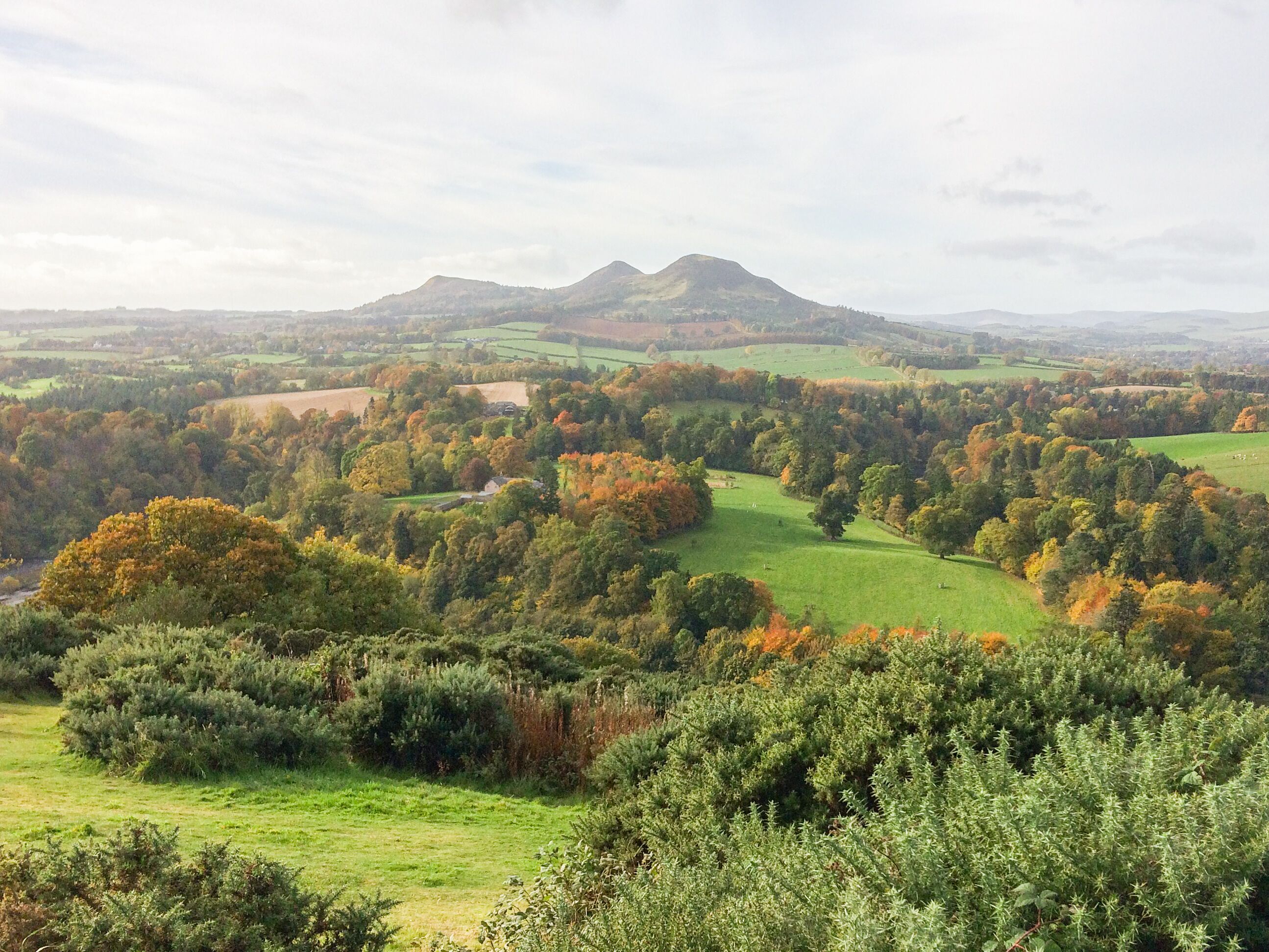 Une vue panoramique d’un paysage rural, avec des collines ondoyantes, une grande variété d’arbres et une chaîne de montagnes lointaine.