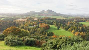 Une vue panoramique d’un paysage rural, avec des collines ondoyantes, une grande variété d’arbres et une chaîne de montagnes lointaine.