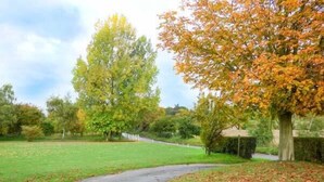 A curved pathway in a park with green grass and trees with autumn leaves. - Glenhaven (Saxmundham)