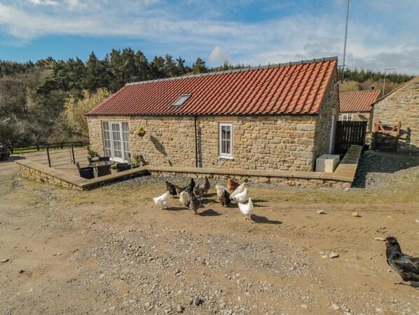 A stone house with a red-tiled roof, a small garden, and chickens in the foreground. - Erica's 'eaven (York)