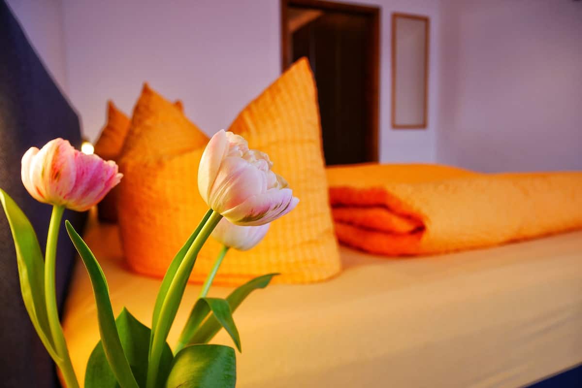 Chambre Double Classique