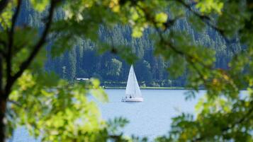 Un voilier sur un lac paisible, entouré d’une forêt dense.