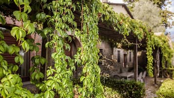 Jardín