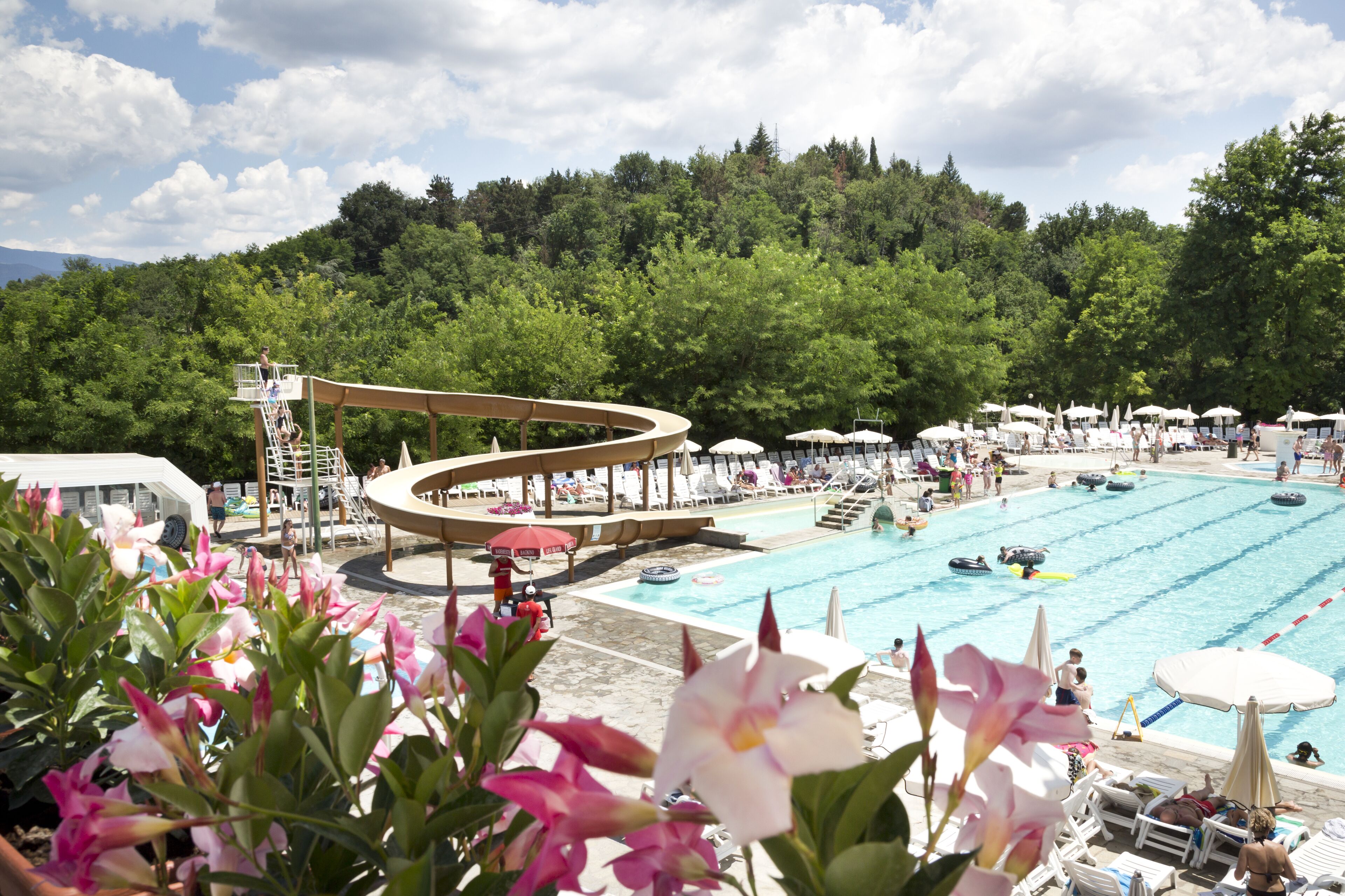 A swimming pool area with lounge chairs and umbrellas, surrounded by lush greenery.