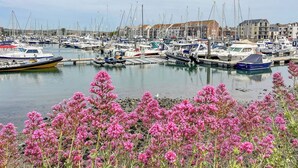 A marina with various boats docked, surrounded by buildings and pink flowers in the foreground. - Shepherd Oak (Weymouth)