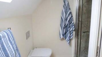 A small bathroom with a white toilet, a towel hanging on the wall, and a shower area with a glass door.