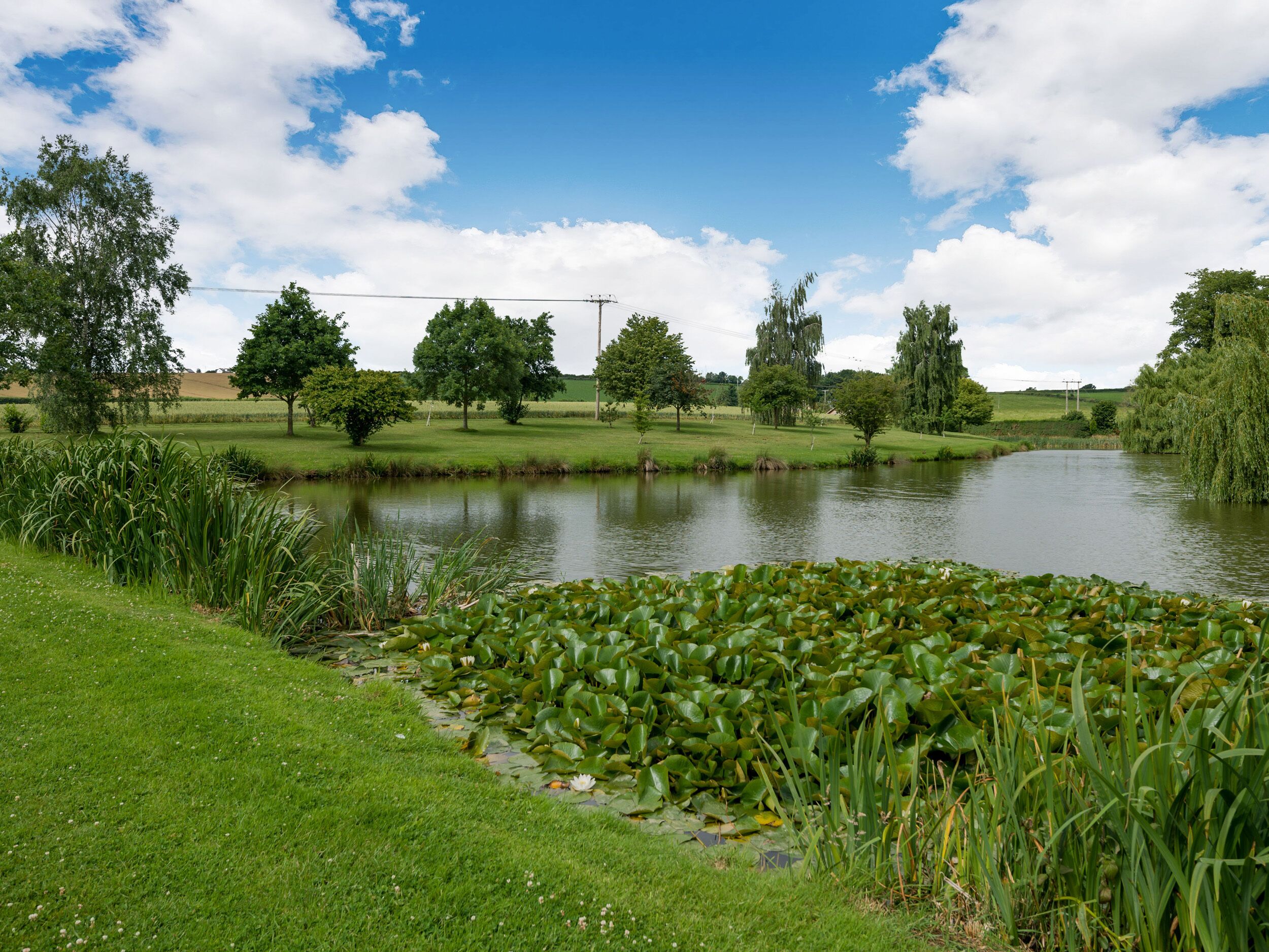 A serene lakeside setting with a grassy area, a pond with lily pads, and trees under a partly cloudy sky.