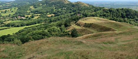 Une vue panoramique d’un paysage vallonné, avec de vastes champs verdoyants, des arbres dispersés et des bâtiments situés au loin.