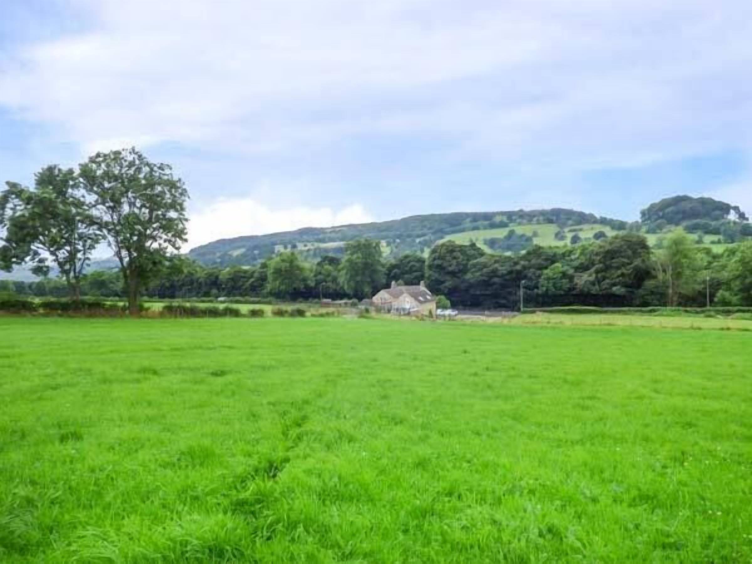 Un paysage rural avec un grand champ verdoyant, un arbre et une maison située sur une colline.