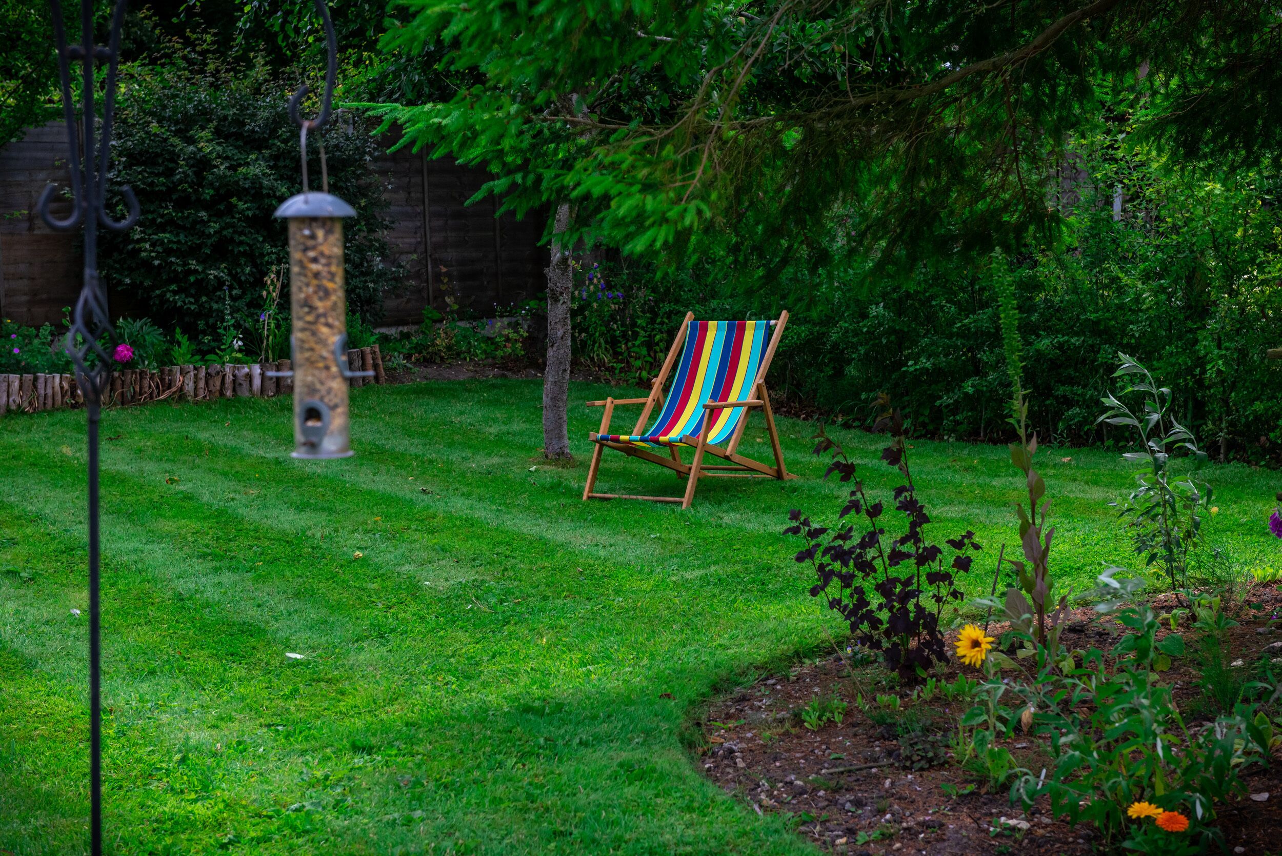 A garden with a wooden chair, a bird feeder, and various plants.